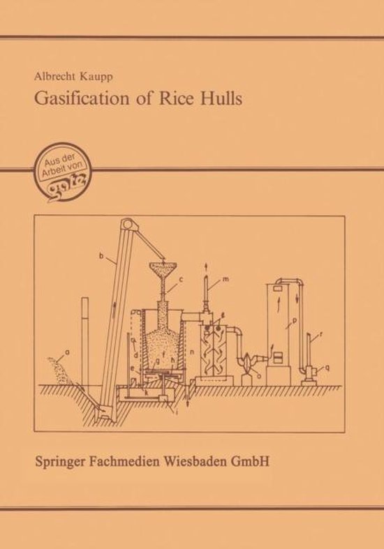 Gasification of Rice Hulls - cover