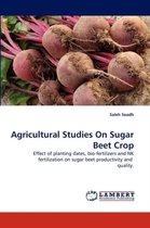 Agricultural Studies On Sugar Beet Crop