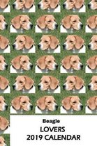 Beagle Lovers 2019 Calendar