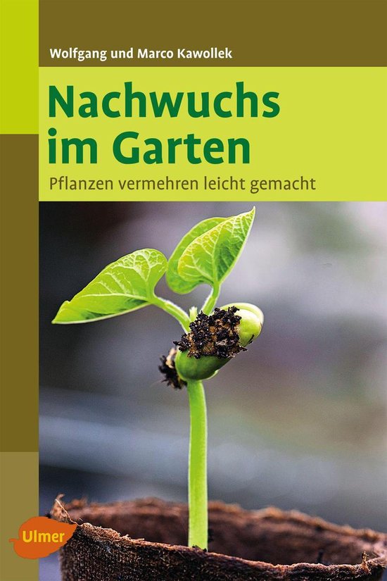 Nachwuchs im Garten - cover