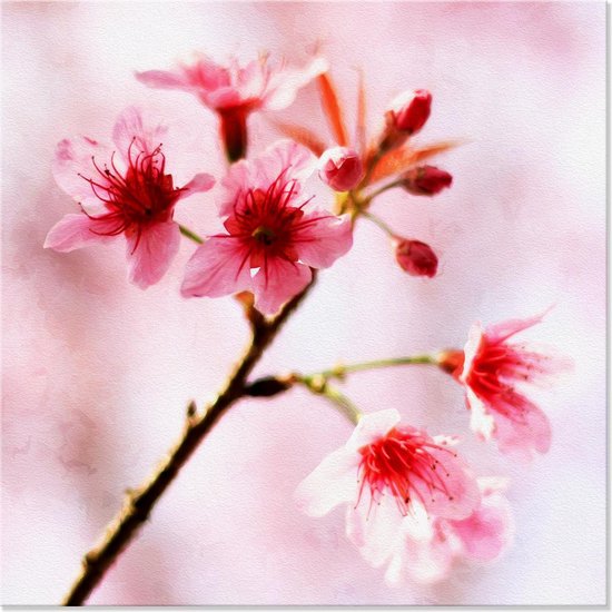 Sjah Heiligdom vergeven Graphic Message - Schilderij op Canvas - Japanse Kersenbloesem - Roze  Bloemen - Woonkamer | bol.com