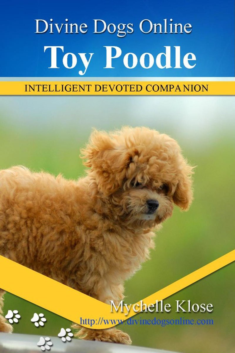 Divine Dogs Online 15 - Toy Poodles - Mychelle Klose