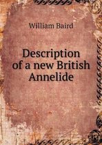 Description of a new British Annelide