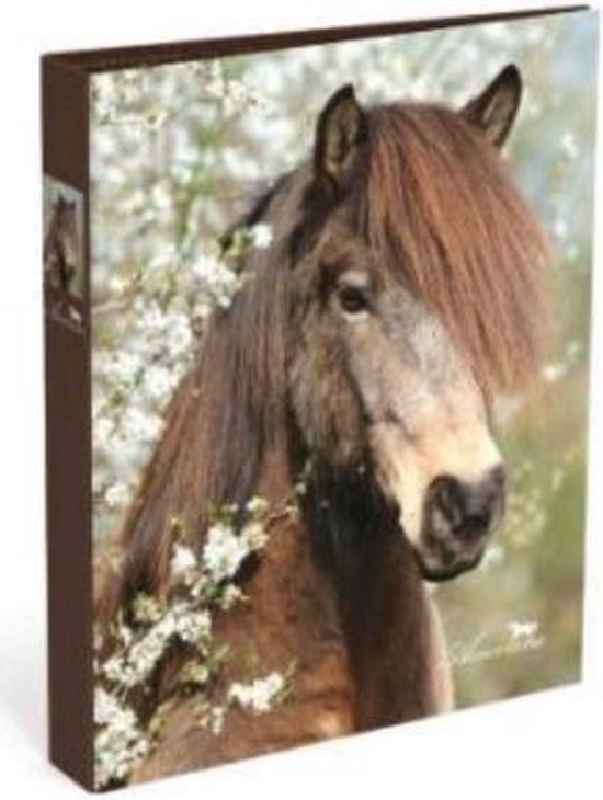 Amazone paarden ringband A4 23 rings bruin | bol.com