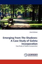 Emerging from the Shadows