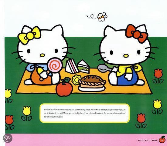 Hello Kitty en Mimmy picknicken met taart, broodjes en een appel.