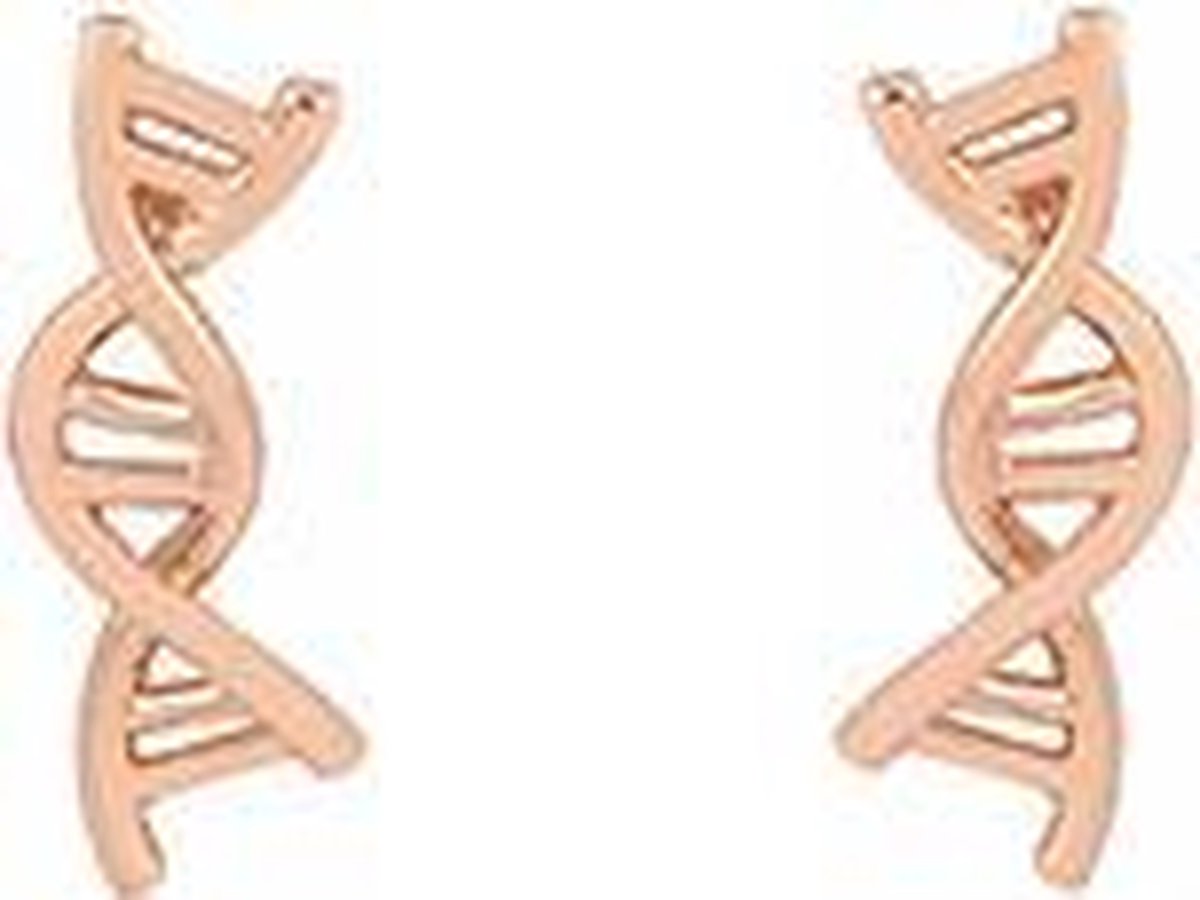 24/7 Jewelry Collection DNA Oorbellen - Molecuul - Rosé Goudkleurig