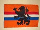 Hup Holland Hup Oranje vlag 100 x 150 cm