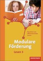 Modulare Förderung 3. Arbeitsheft Lesen.