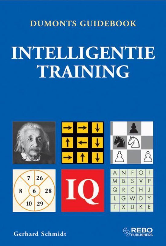 Cover van het boek 'Handboek Intelligentietraining' van G. Schmidt