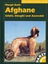 Afghane, Saluki, Sloughi und Azawakh