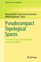 Developments in Mathematics 55 - Pseudocompact Topological Spaces