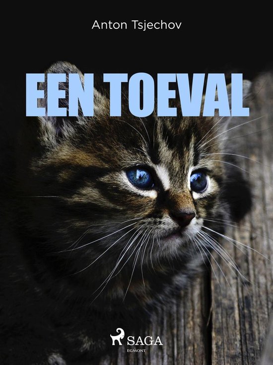 Boekcover met een close-up van een kitten met blauwe ogen, met de tekst "EEN TOEVAL".