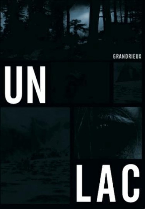Cover van de film 'Un Lac'