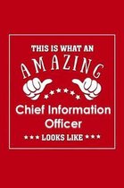 This is What an Amazing Chief Information Officer Look Like