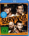 Survivor Series 2013