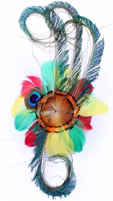 Déco tête de plume sur pince à cheveux rouge / jaune / vert | bol.com