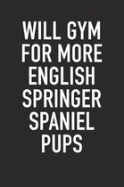 Will Gym for More English Springer Spaniel Pups