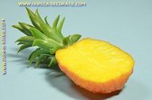Ananas, halve - 100x210 mm - Fruitdummy