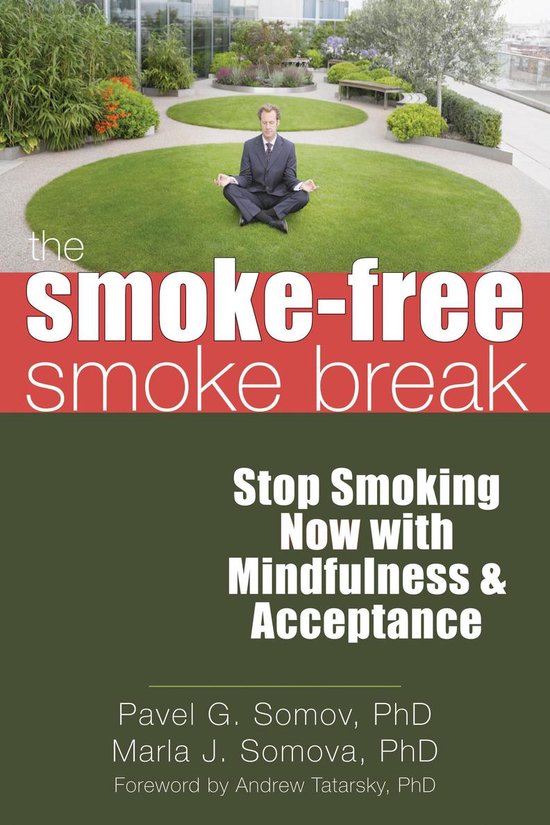 The Smoke-Free Smoke Break - cover