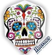 Harrows Quadro Graffiti Skull  Set Ã  3 stuks