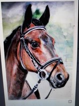 Daimond painting - Bruin paardenhoofd - 30 x 40 cm/ Full