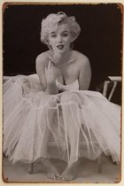 Metalen bord  wanddecoratie 30cm/20cm Marilyn Monroe