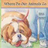 Where Do Our Animals Go