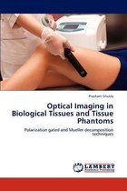 Optical Imaging in Biological Tissues and Tissue Phantoms