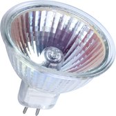Prolight Halogeenlamp - 35W