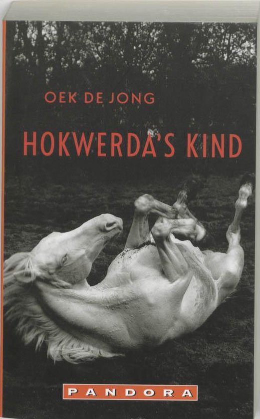 Hokwerda's kind - Oek de Jong | Northernlights300.org