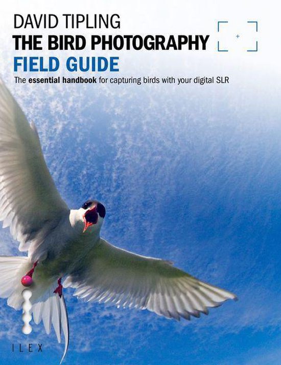 The Bird Photography Field Guide - cover