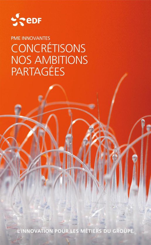 EDF PME innovantes - L'innovation pour les métiers du group ... - cover