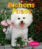 Bichons Frises