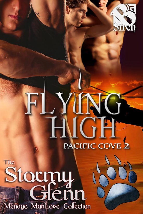 Pacific Cove 2 - Flying High - cover