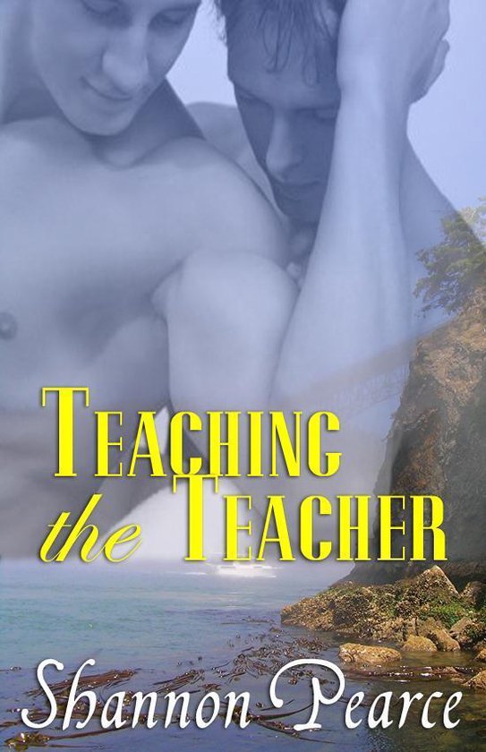 Teaching the Teacher
