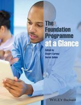 The Foundation Programme at a Glance