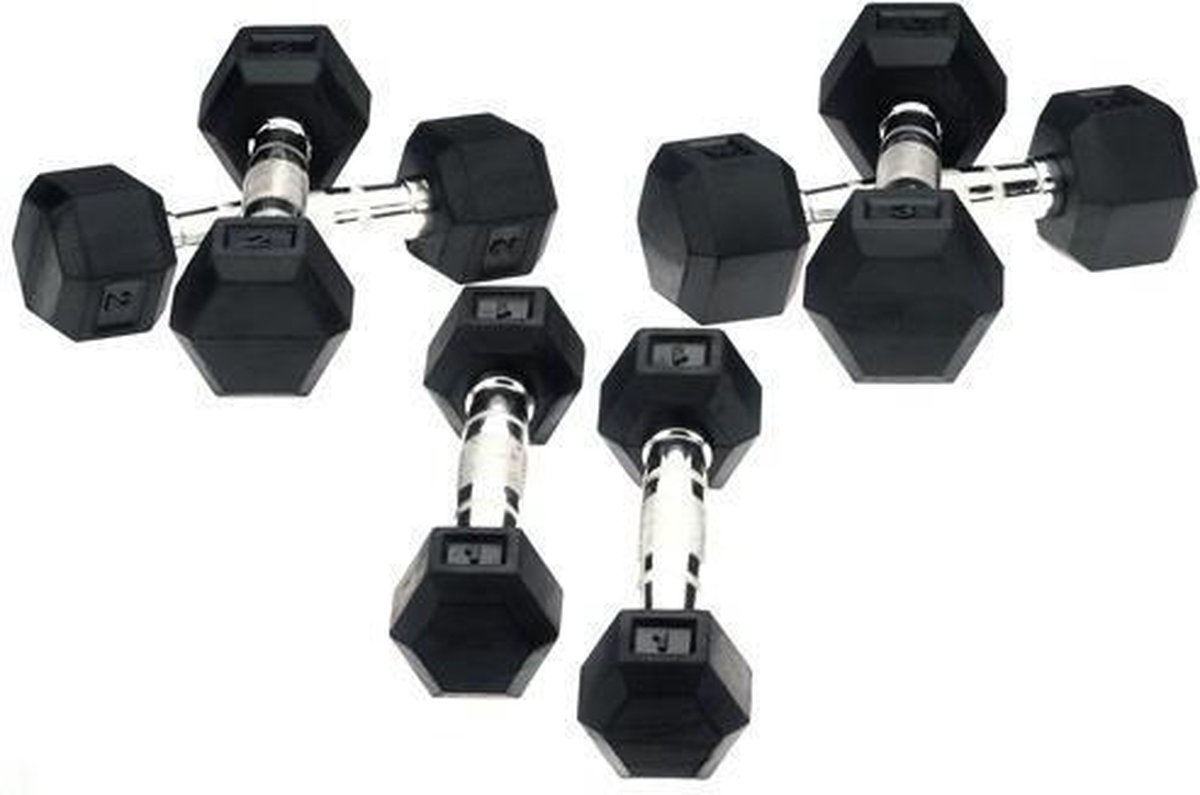 Hexa Dumbells - 2 x 10 kg - Zilver/Zwart