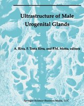 Ultrastructure of the Male Urogenital Glands