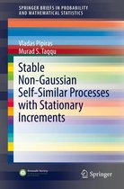 SpringerBriefs in Probability and Mathematical Statistics - Stable Non-Gaussian Self-Similar Processes with Stationary Increments