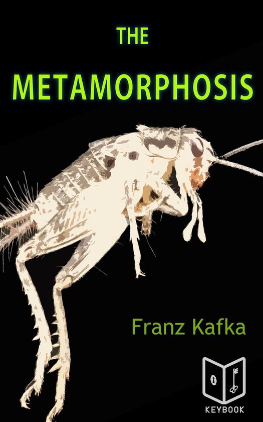 The Metamorphosis - cover