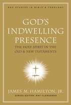 New American Commentary Studies in Bible and Theology - God's Indwelling Presence