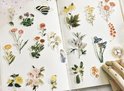 Sticker vel met vogels, vlinders, veren, paddenstoelen en bloemen.
