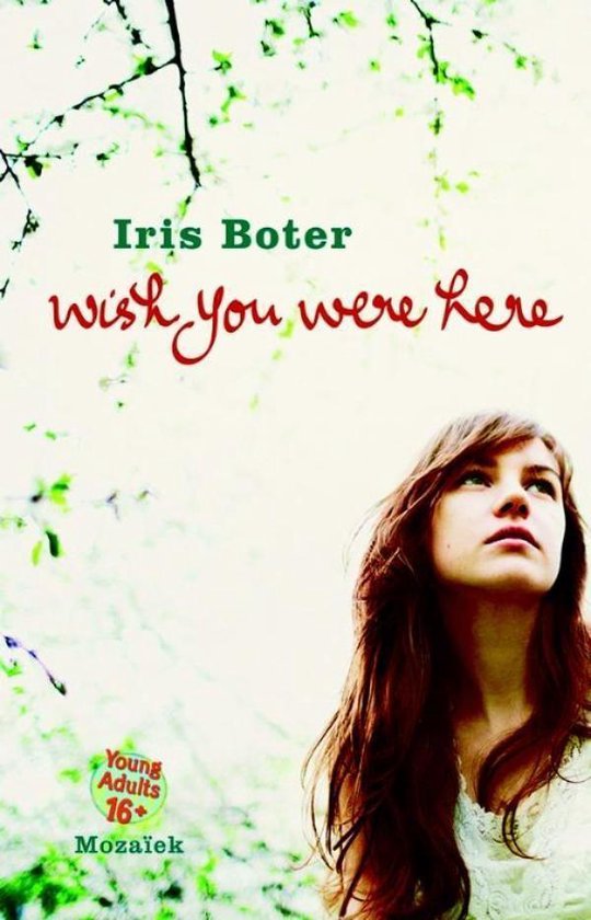 wish-you-were-here-ebook-iris-boter-9789023919605-boeken-bol