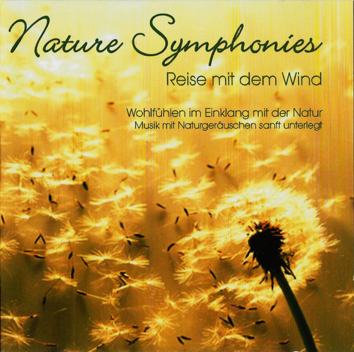 Dave Miller & Friends – Nature Symphonies • Reise Mit Dem Wind