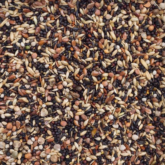 Een close-up van vogelzaad mix. Bevat veel verschillende soorten zaden in bruine, beige en zwarte tinten.