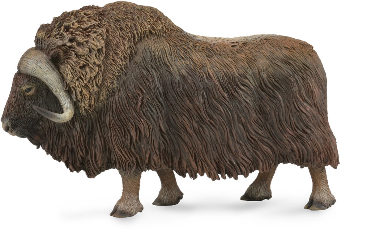 Figurine - Muskusos - (L) - Wilde Dieren - Handgeschilderd - Miniatuur van Collecta in Bruin – productfoto