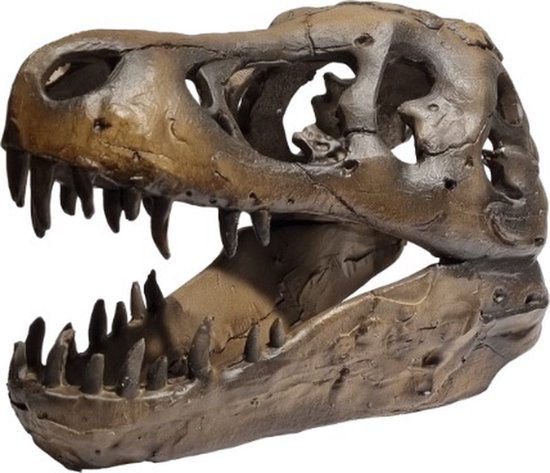 Realistische Dinosaurus Skelet Kostuum, Dinosaurus Schedel Hoofddeksel