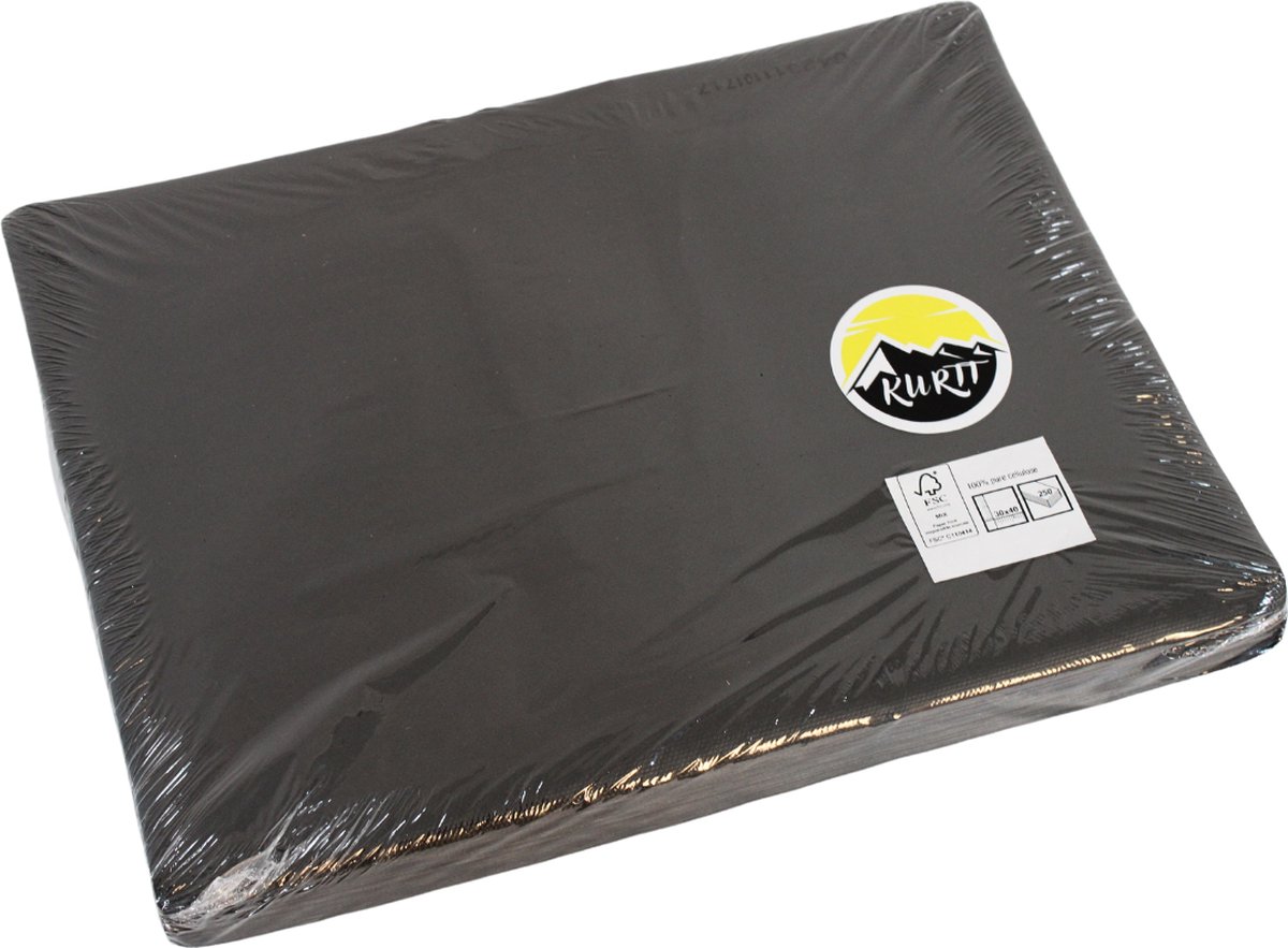 KURTT - 250 Placemats, 30x40cm Antislip Placemat van gecoat papier - Waterafstotende Onderlegger, Onderzetter - zwart