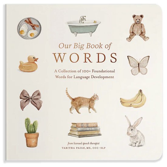 Our Big Book of Words, Tabitha Paige | 9781958803875